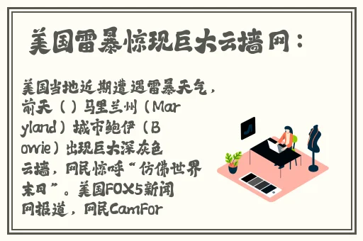 无码中文字幕免费一区二区三区